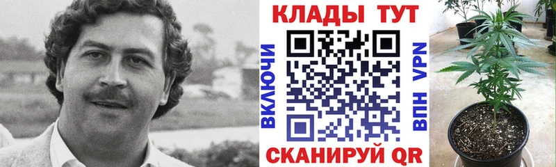 Виды наркоты Нолинск КОКАИН Каннабис АМФ Alpha-PVP ГАШИШ ссылка на мегу рабочий сайт Меф