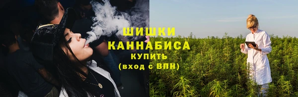 тгк Нея