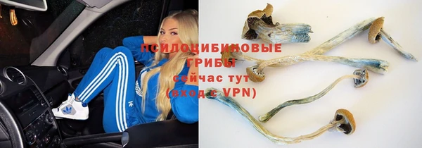 гашишное масло Покачи
