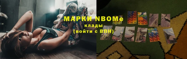 соль ск Новозыбков