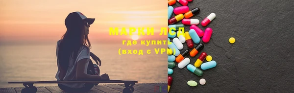 соль ск Новозыбков