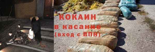 соль ск Новозыбков