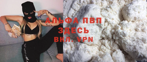 соль ск Новозыбков