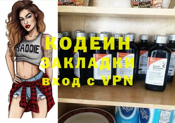 соль ск Новозыбков