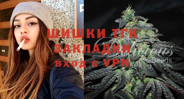 тгк Нея