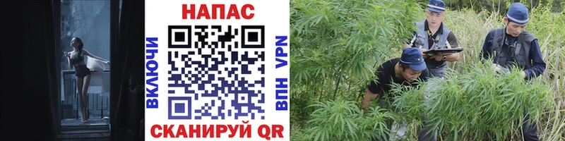МАРИХУАНА Ganja  blacksprut маркетплейс  Нолинск 
